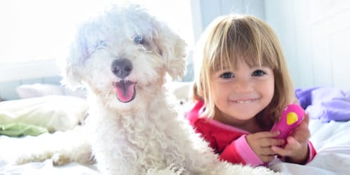 Môžu mať deti s astmou domáce zvieratá?