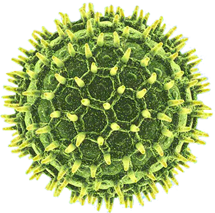 vírusová častica