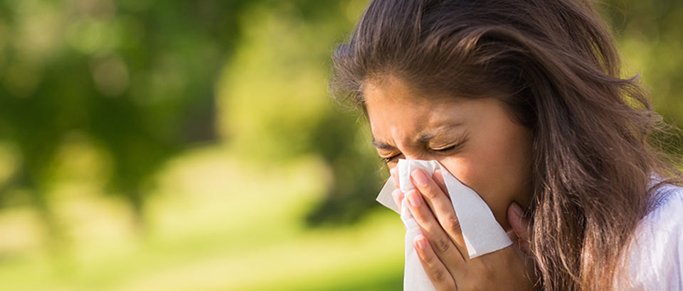 Alergény v domácnosti – typy peľu a kedy sa vyskytujú